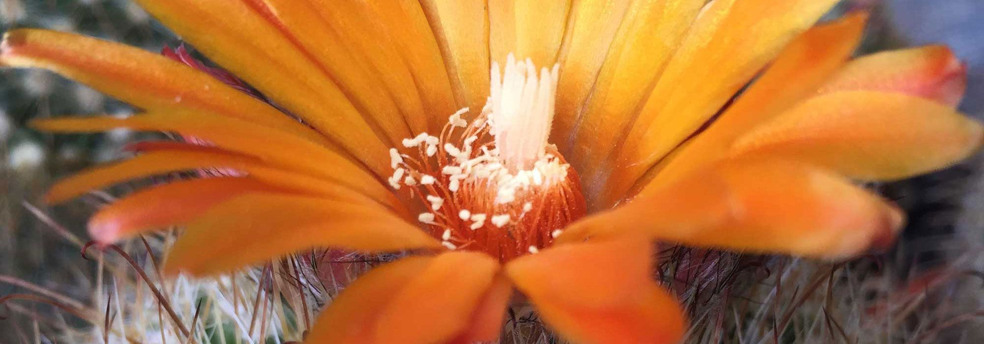 Translation agency for Vienna and beyond Our team